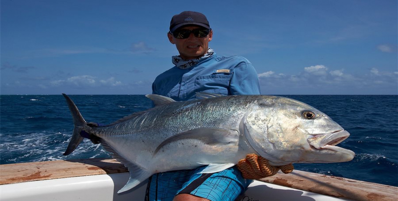 Welcome to the Sportfishing Club of the British Isles (SCBI)