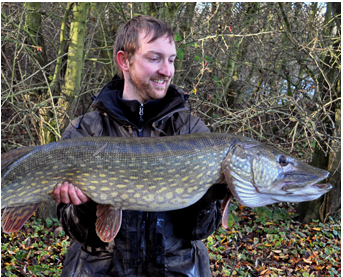 An impressively marked 20lb Pike from a UK gravel pit.
